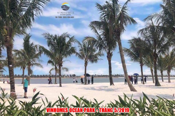 BIỆT THỰ HẢI ÂU 3-180 (GÓC 250.5m)