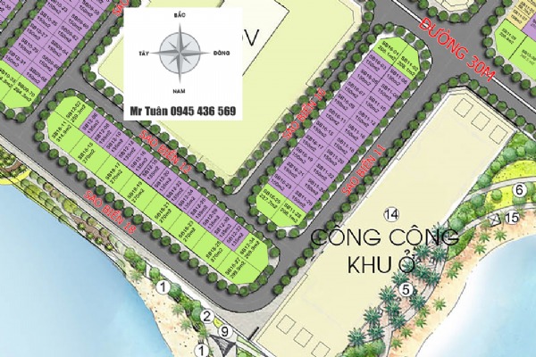 ĐƠN LẬP GÓC: SAO BIỂN 16-01 (208m)