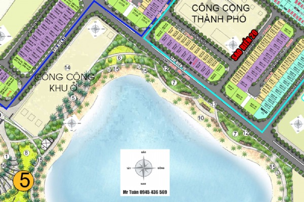 ĐƠN LẬP SAO BIỂN 19 / MẶT BIỂN NƯỚC MẶN / ĐẤT 186m