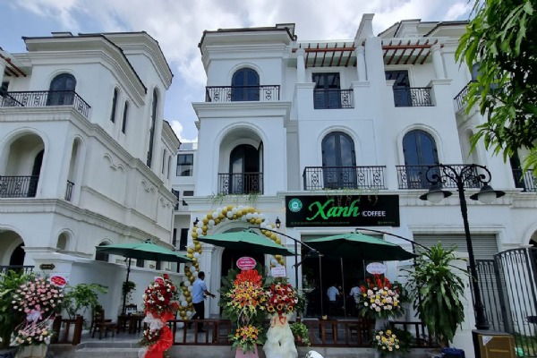 SAO BIỂN 19-50 (VIEW BIỂN HỒ) XANH COFFEE