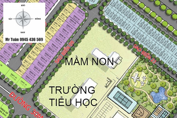 SAO BIỂN 9.02 - BIỆT THỰ SONG LẬP GÓC (229,2m)