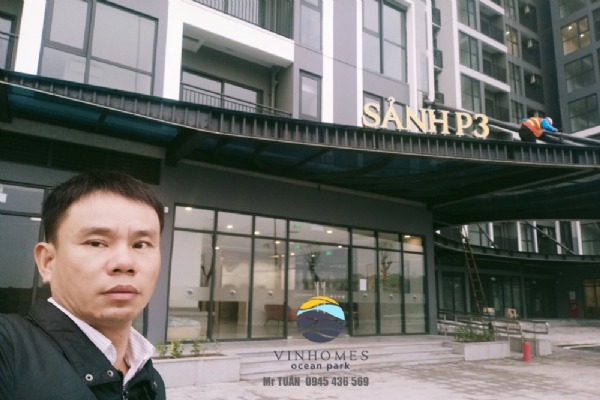 Shop chấn đế P301-S03 Tòa P3 Khu căn hộ: The Pavilion