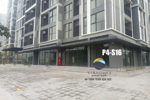 SHOP CHÂN ĐẾ PAVILION P4-S16 (GÓC) Ocean Park