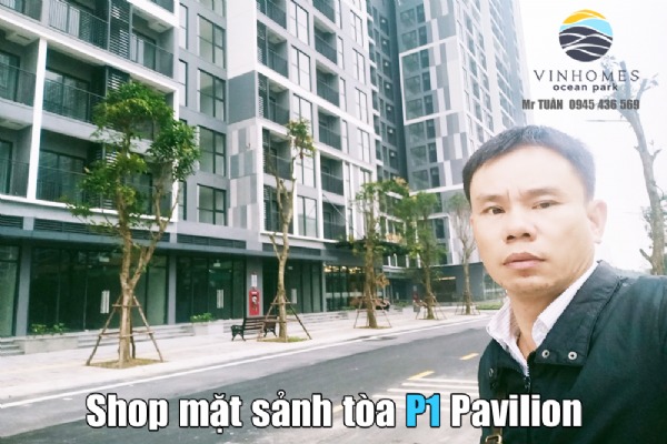 SHOP P1.01-S02 (MẶT ĐƯỜNG / MẶT SẢNH) TÒA P1 PAVILION