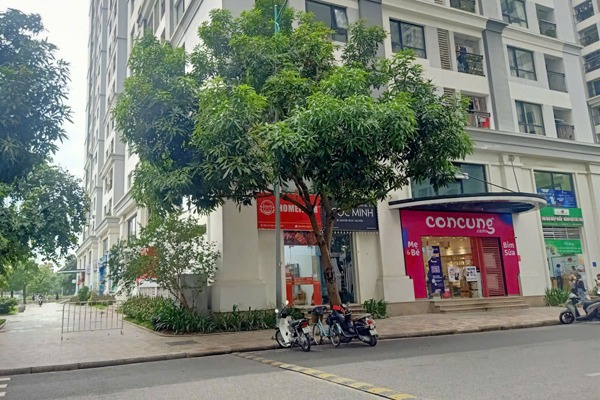 Shophouse 02 tòa T7 Timescity, mặt đường trục chính